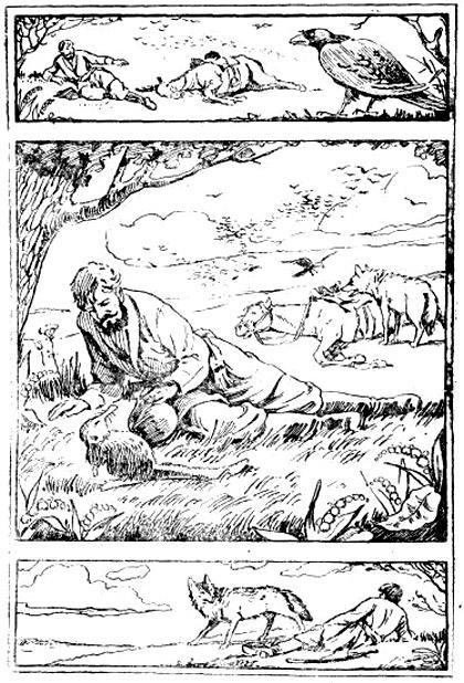 Почему у выхухоли хвост пахучий?