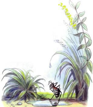 Сказка: Под грибом (иллюстрации: Сутеев В.) злой муравей в луже