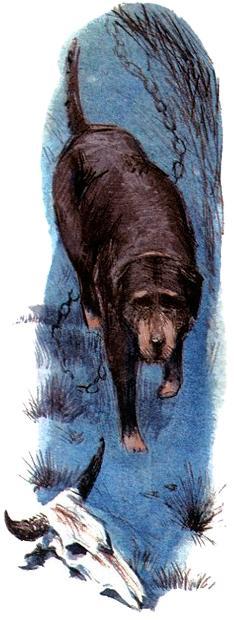 Под крыльцом (повесть) Под крыльцом