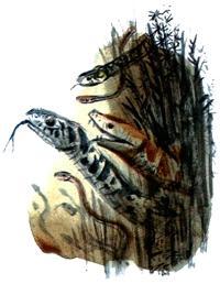 Под крыльцом (повесть) Под крыльцом