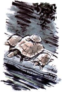 Под крыльцом (повесть) Под крыльцом