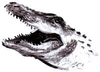 Под крыльцом (повесть) Под крыльцом