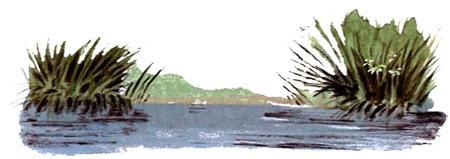 Под крыльцом (повесть) Под крыльцом