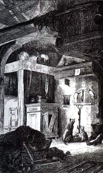 Подагра и паук