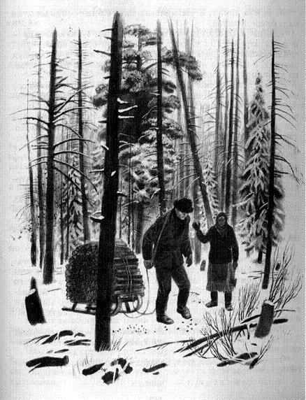 Подснежники