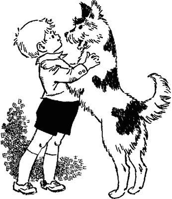 Мальчик Гонзик и пёс