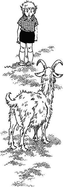 Поездка Гонзика в деревню (повесть) Мальчик Гонзик и коза