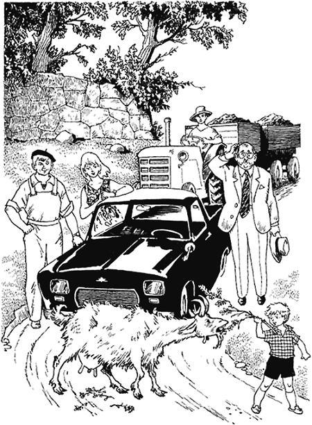 пробка на дороге из-за козы