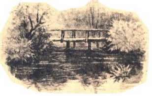 Поездка из столицы в деревню (рассказ) мостик