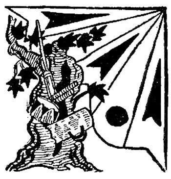 Похищение инструментов Журупари