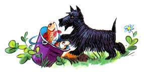 песик Чапка и ведро рыбы