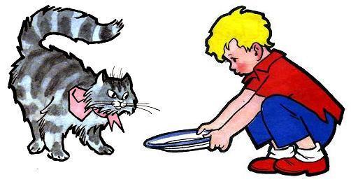 мальчик дает кошке молоко