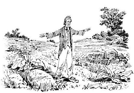 Помело и волшебная шишечка от кровати (повесть) Помело и волшебная шишечка от кровати