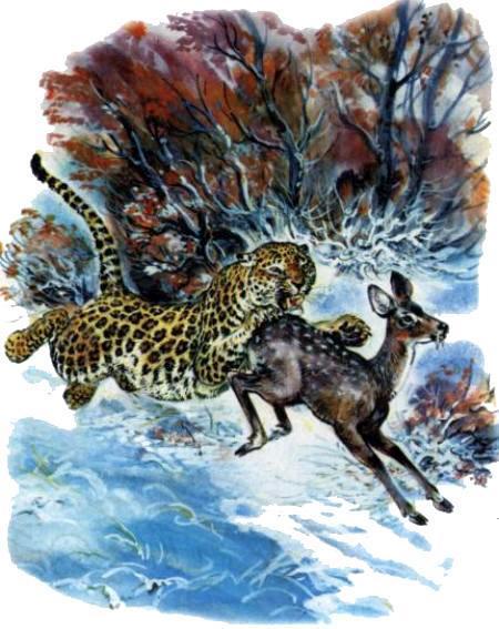 Последний барс (рассказ) барс поймал косулю