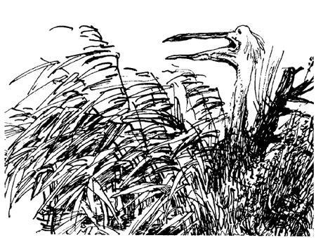 Последний чёрт 06