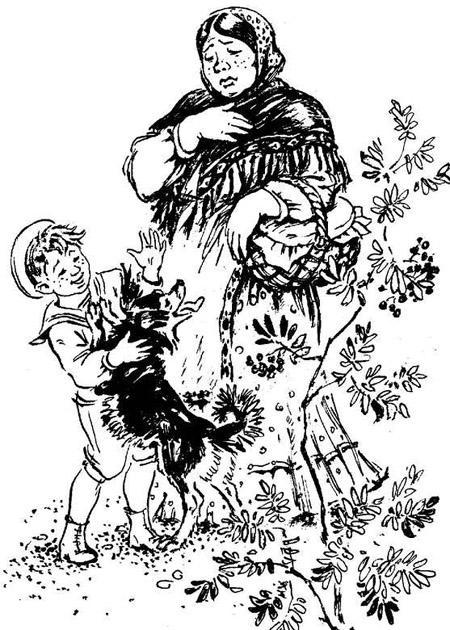 Постойко Постойко