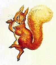 Повесть о бельчонке Тресси (сказка Беатрис Поттер) Повесть о бельчонке Тресси