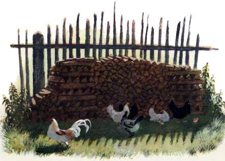 При ясном солнышке (рассказы) дрова у забора куры