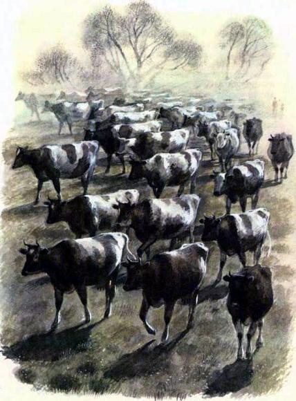 При ясном солнышке (рассказы) стадо коров