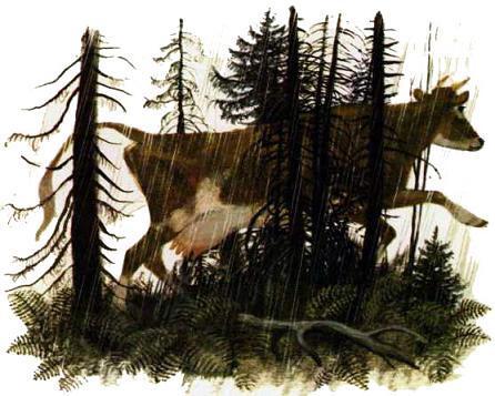 При ясном солнышке (рассказы) корова бежит через лес