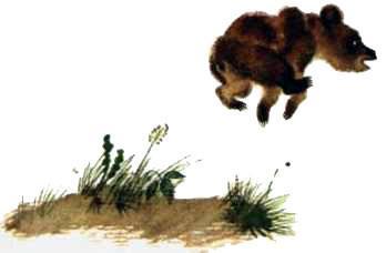 При ясном солнышке (рассказы) медвеженок