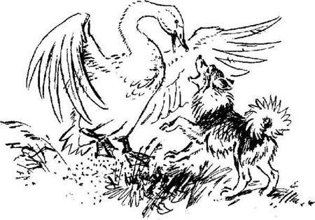 Приемыш Приемыш