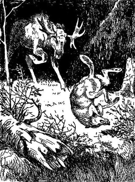 Приемыш (рассказ) 053