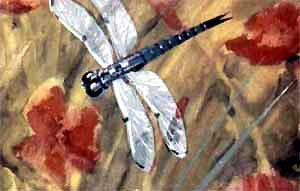 Приключения Бибигона: Чудесный полет