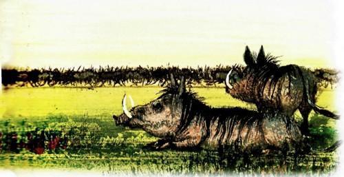 Приключения «Котобоя» (сказка) Приключения «Котобоя»