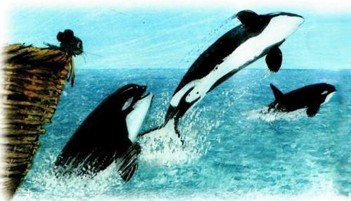 Приключения «Котобоя» (сказка) касатки