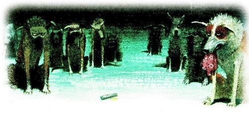 Приключения «Котобоя» (сказка) Приключения «Котобоя»