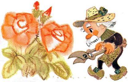 Приключения Петрушки (повесть) садовник