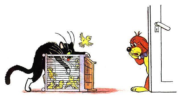 Приключения Пифа (сказка) кот ворует птиц из клетки Пиф