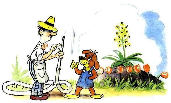 Приключения Пифа (сказка) Пифу дают поручение поливать цветы