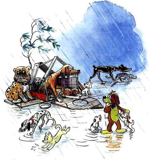 собаки развалили будку Пифа