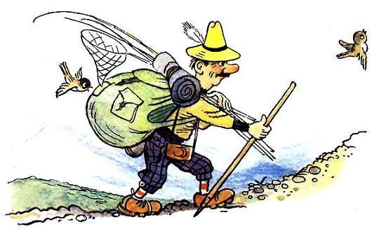 Тонтон идет в поход.