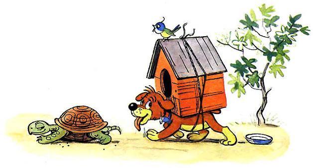 Пиф похож на черепаху