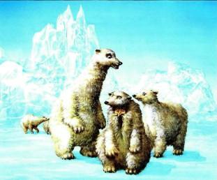 белые медведи полюс