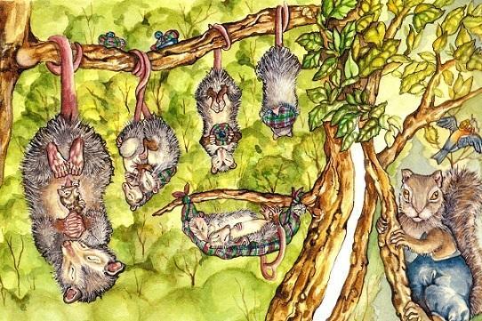 Приключения бельчонка Тимми (сказка) img 13