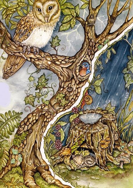 Приключения бельчонка Тимми (сказка) img 10