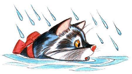 Приключения сдобной Лизы (сказка) кот в воде