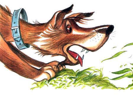 Приключения сдобной Лизы (сказка) пес