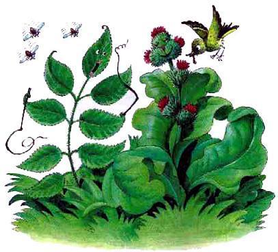 Приключения шахматного солдата Пешкина (сказка) Приключения шахматного солдата Пешкина