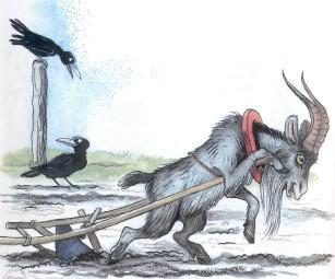 козел пашет плугом землю огород козла запрягли