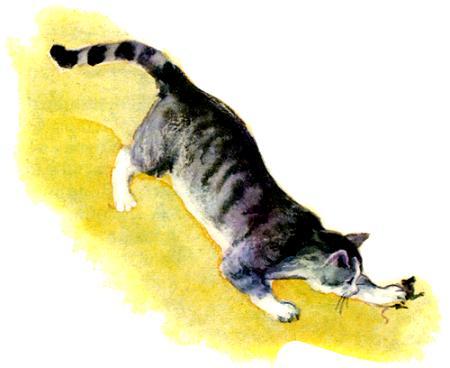 Кошка охотится рисунок