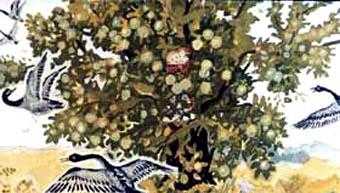 Привередница (сказка) Прилетели гуси, осмотрели яблоню - нет никого