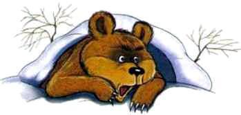 медведь в берлоге