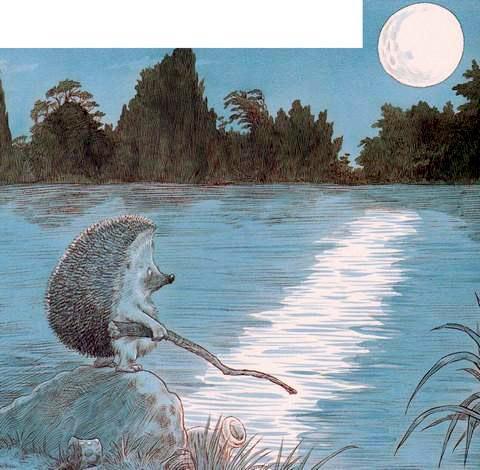 Про Ёжика и Кролика: Подарки в день рождения (сказка) Ёжик ночью на берегу