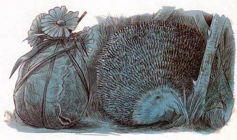 Про Ёжика и Кролика: Подарки в день рождения (сказка) Ёжикв темноте