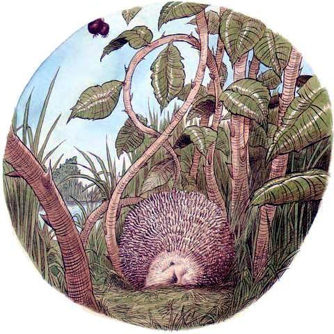 Про Ёжика и Кролика: Подарки в день рождения (сказка) Ёжик